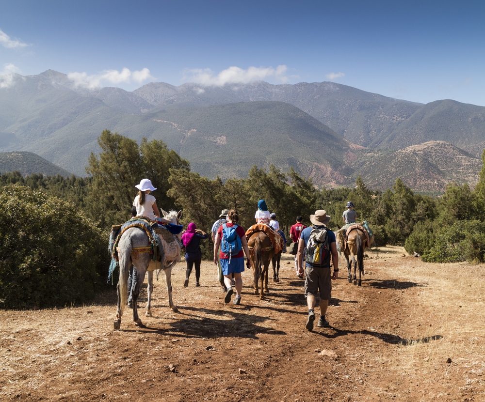 People on horseback and walking traverse a dirt path surrounded by trees, with a mountainous landscape in the background under a clear blue sky.